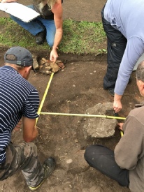 Sherwood Forest Archaeology