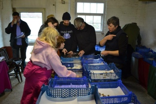 Sherwood Forest Archaeology Finds