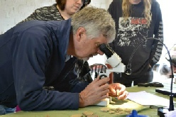 Finds identification Mercian Archaeological Services CIC