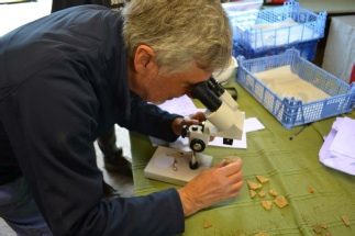 Archaeology Microscopes Sherwood Forest