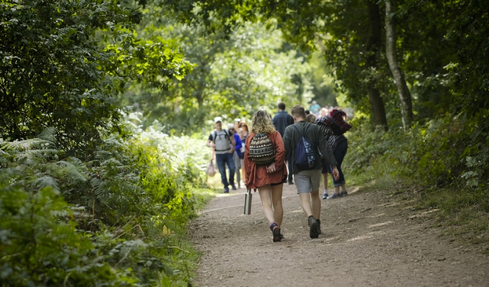 sherwood forest tours