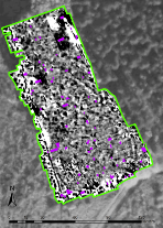 Geophysical survey Thynghowe Viking Assembly site Thynghowe